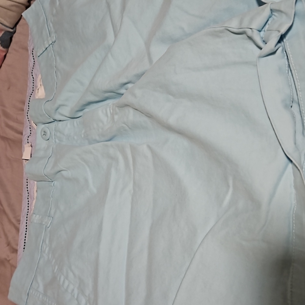 GUC BABY BLUE 18W CROWN & IVY CAROLINE SHORTS